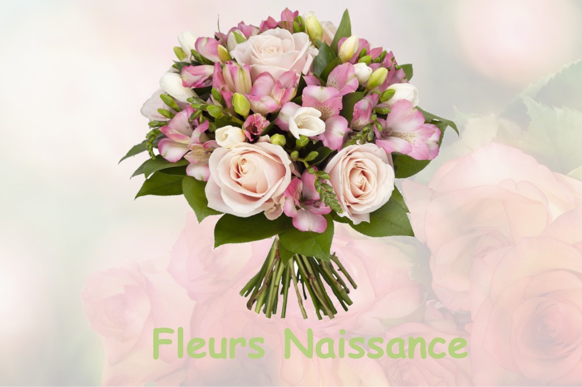 fleurs naissance TARABEL