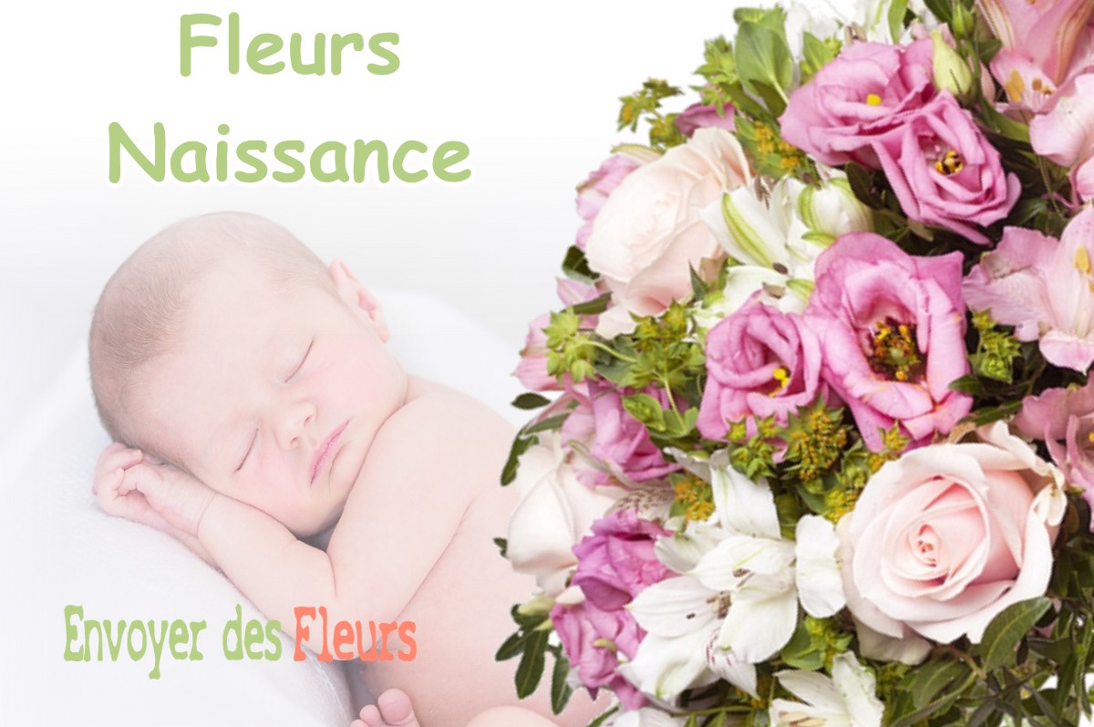 lIVRAISON FLEURS NAISSANCE à TARABEL